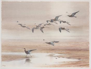 Lars Jonsson, 'Dagrar'.
