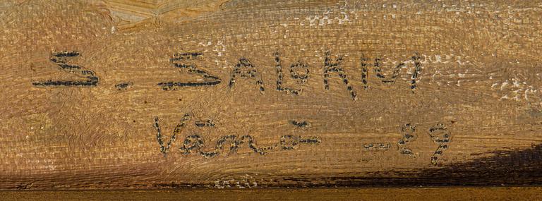 Santeri Salokivi, Skärgårdsvy.