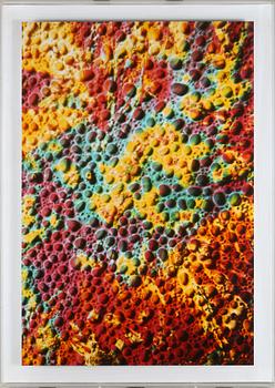 ERIC H OLSON, cibachrome, signerad och numrerad 6/7 à tergo.
