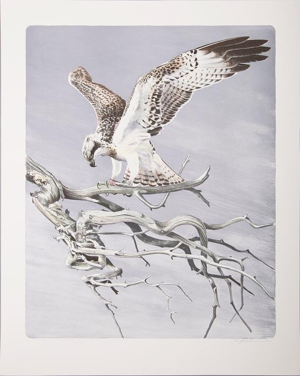 DAG PETERSON, färglitografi, signerad.