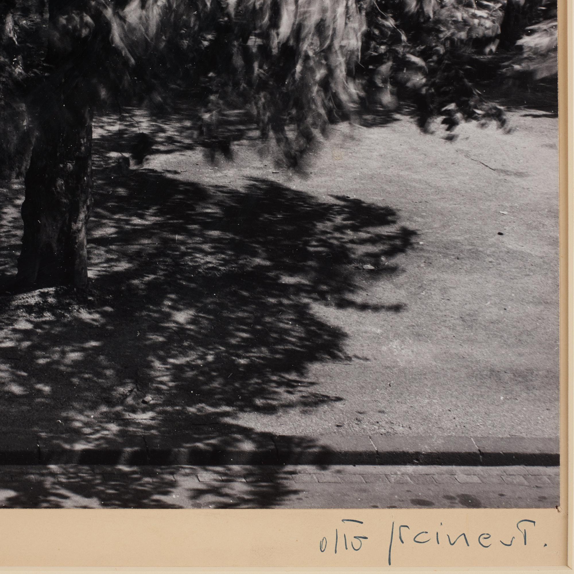 Otto Steinert, "Die Bäume vor Meinem Fenster II (The Trees Outside my Window II)", 1956.