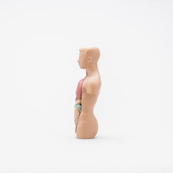 ANATOMISK MODELL, 1900-talets slut.
