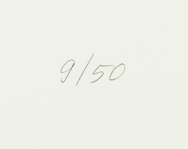 Raul Meel, "Windows and Landscape 9".