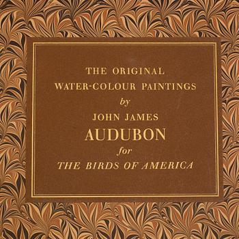 A BOOK, Audubons klassiska fågelbilder, James Audubon.