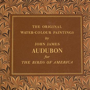 A BOOK, Audubons klassiska fågelbilder, James Audubon.