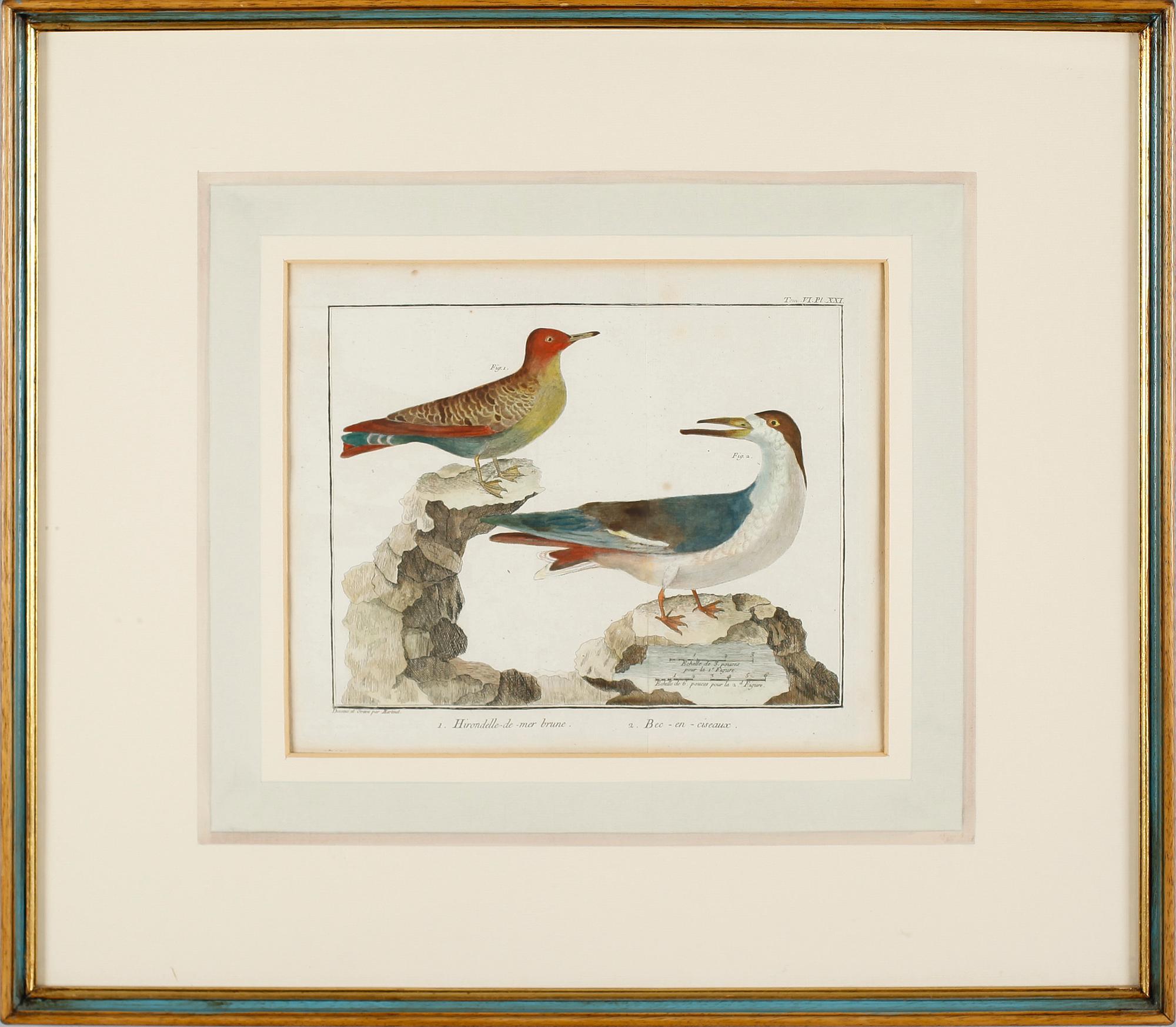 GRAVYRER, 2 st, efter Martinet, kolorerade, 1800-tal.