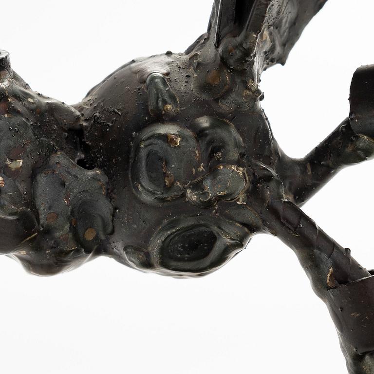 Veikko Haukkavaara, Ringmärkt fågel.