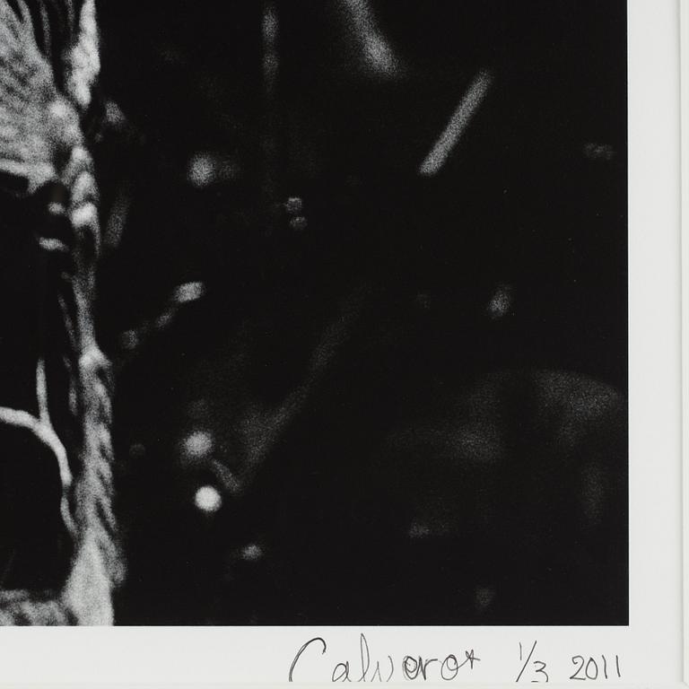 Torbjörn Calvero, "Led Zeppelin, Earl's Court, London 23 maj 1975".