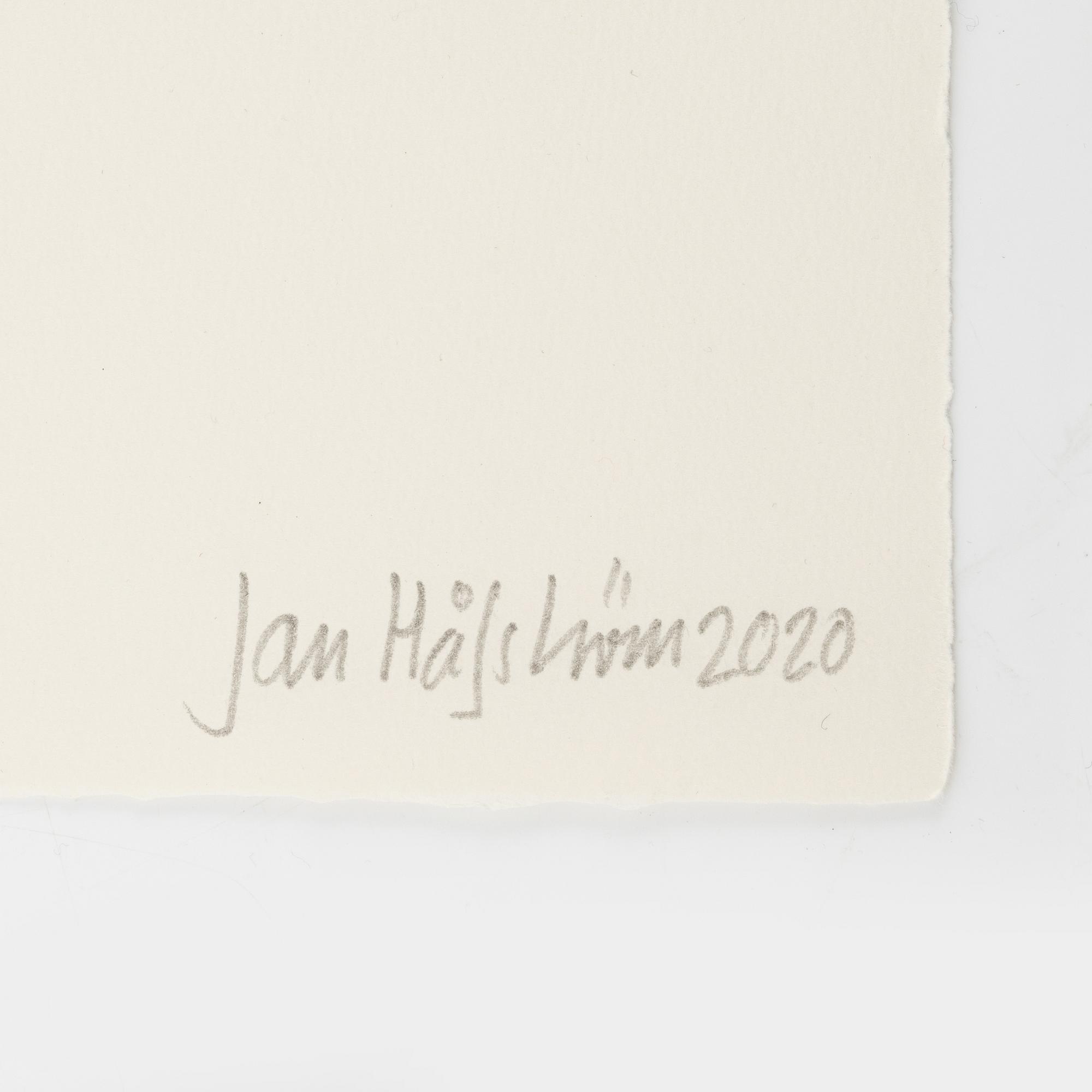 Jan Håfström, "Utan titel (2251)".