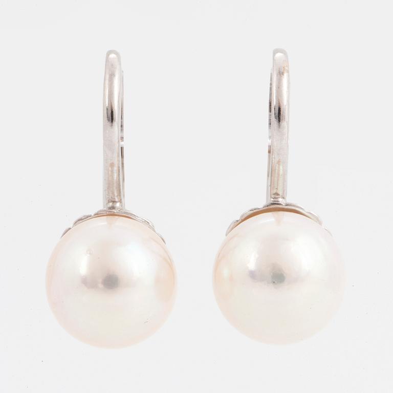 Cultured akoya pearl earrings.