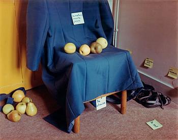 211. Elina Brotherus, "Nature Morte Jeaune", 1999.