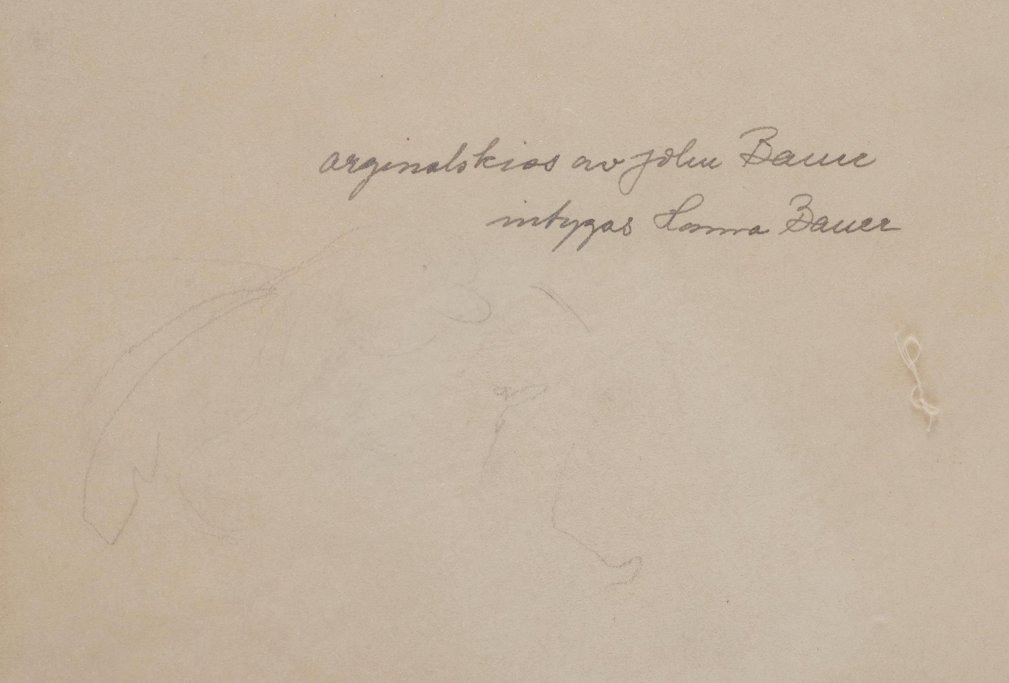 John Bauer, Drawing for "Det var ju rakt omöjligt att stå ut med så'na där skällande tjutande rackare".