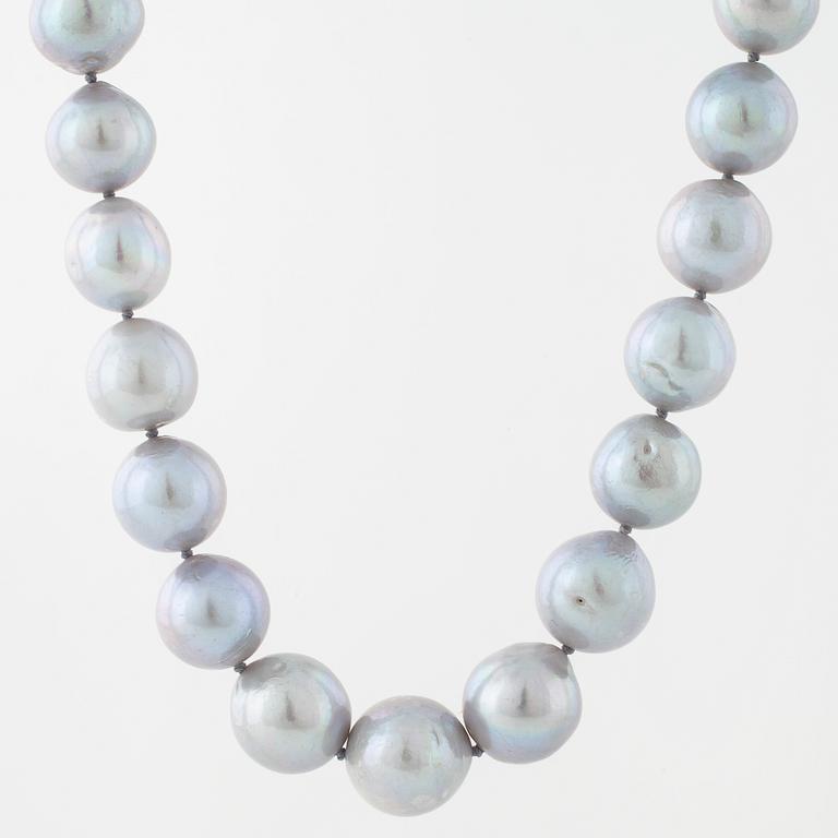COLLIER, med odlade pärlor.
