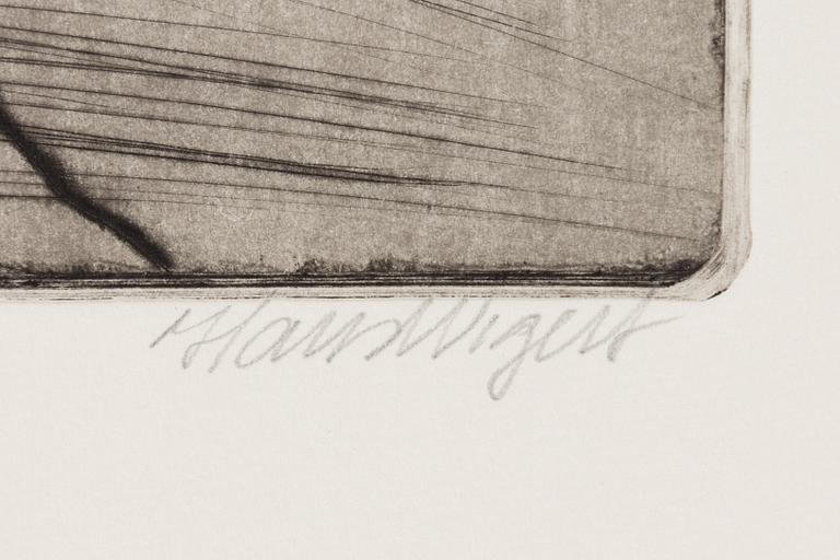 Hans Wigert, Fågel, katt och man.