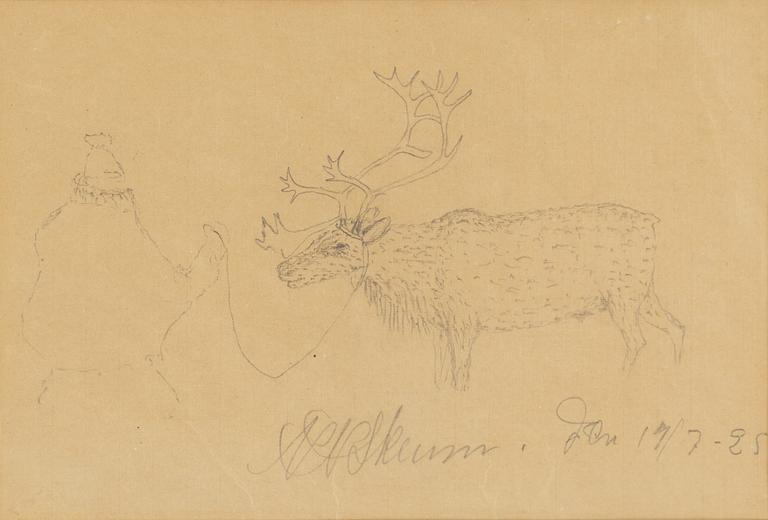 Nils Nilsson Skum, Reindeer.