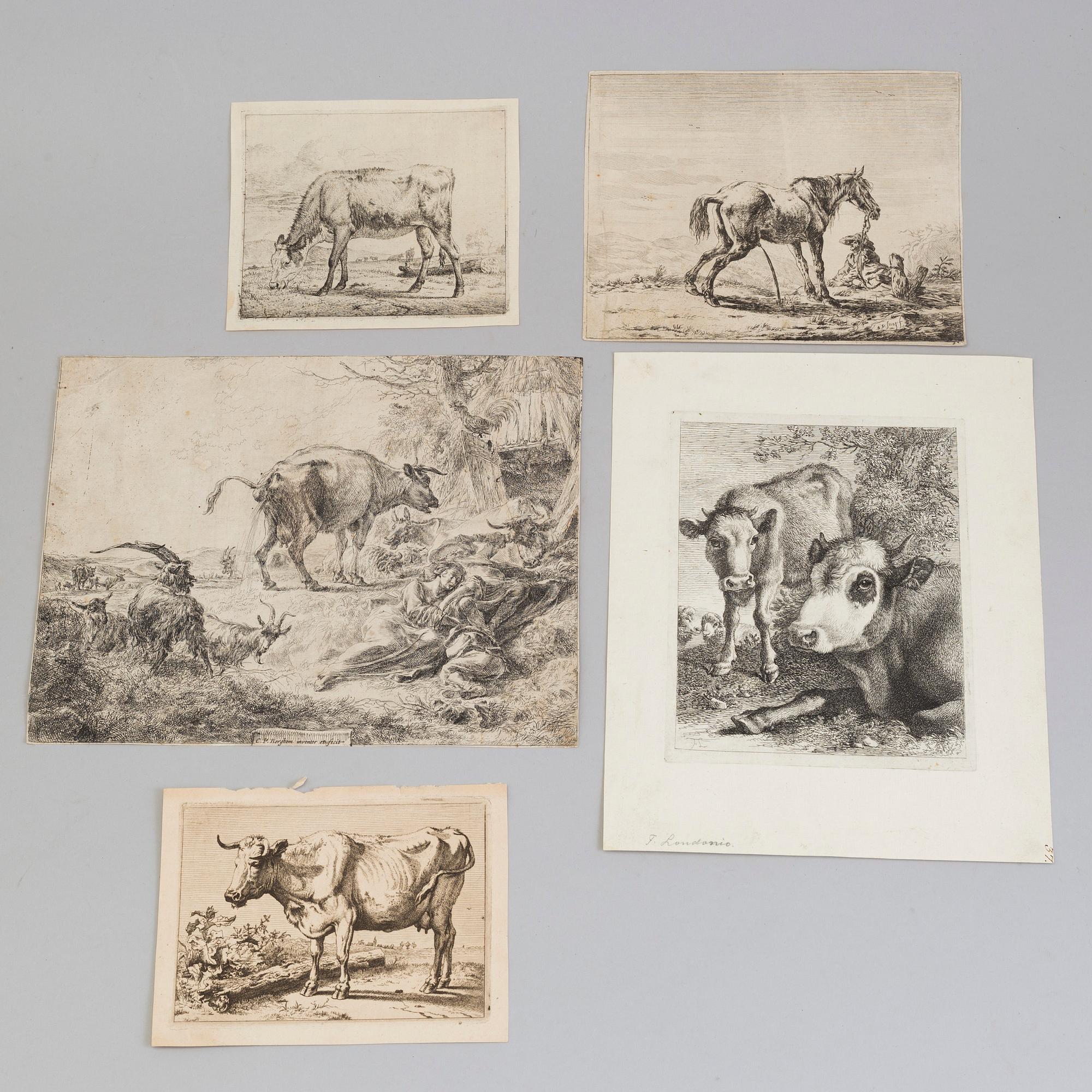 5 engravings, 18th century, amongst others C P Berghem and van der Velde.