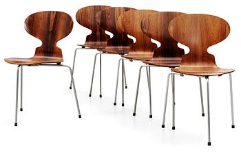 A set of six Arne Jacobsen palisander 'Ant' chairs, Fritz Hansen, Denmark 1950's-60's.