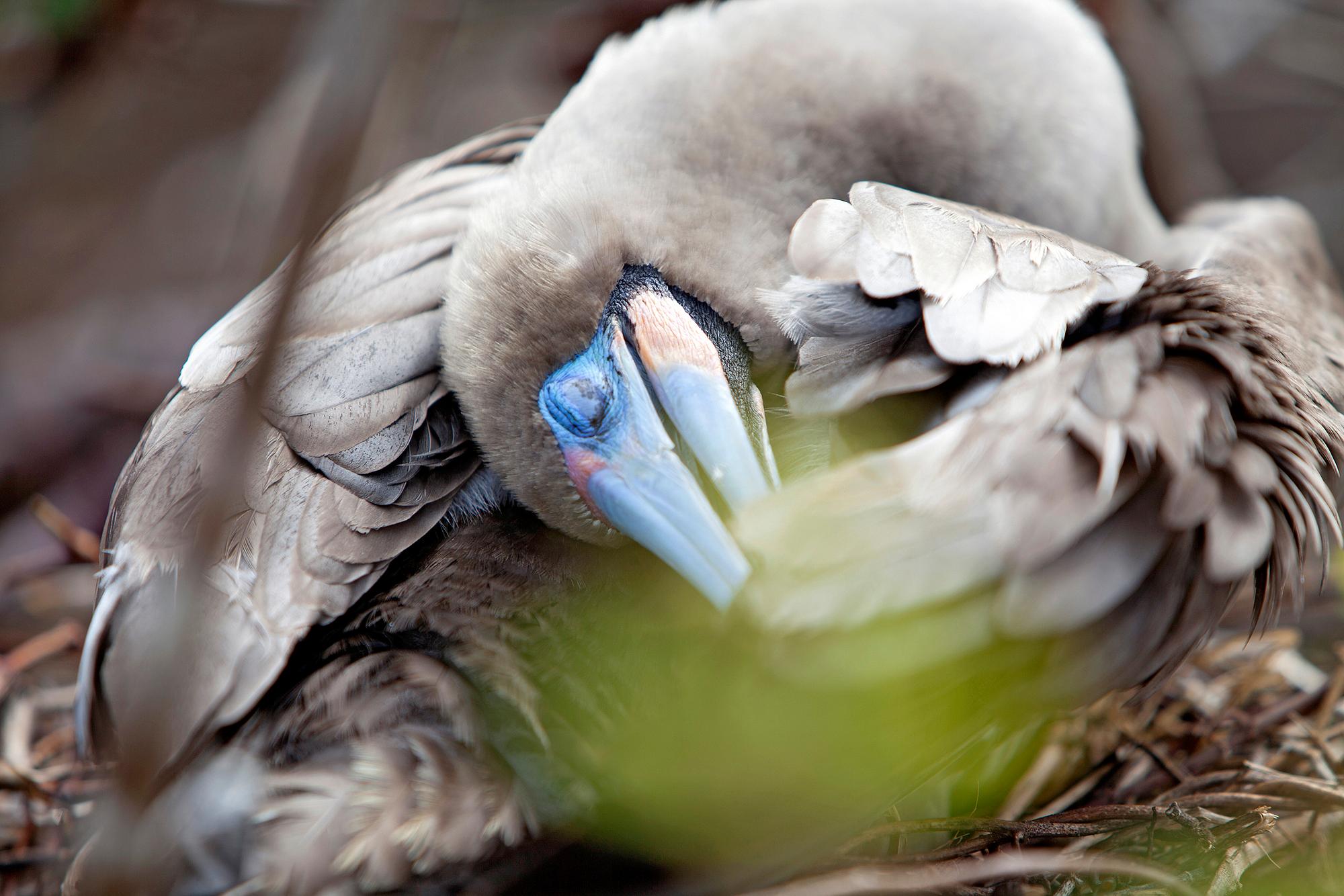 SUSANNE MARTINELLE, "Avkoppling".