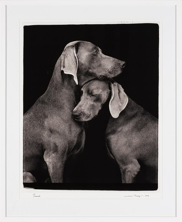 William Wegman, fotografi, 2009, signerad. Numrerad 456/1500 a tergo.