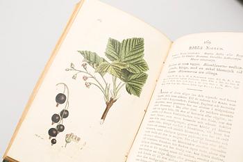4 volumes of 'Svensk Botanik' ('Swedish Botany') by J. W. Palmstruch, 1803-1805.