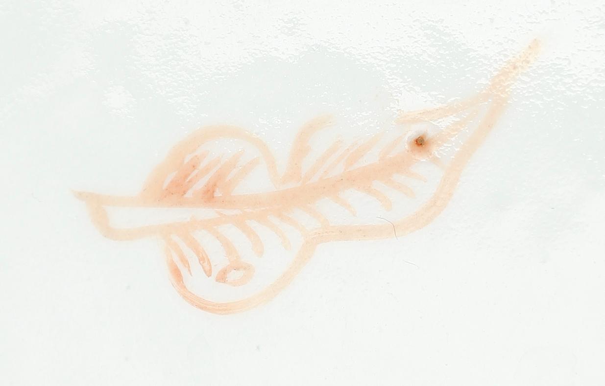 SKÅL, porslin, Kina, 1800-tal.