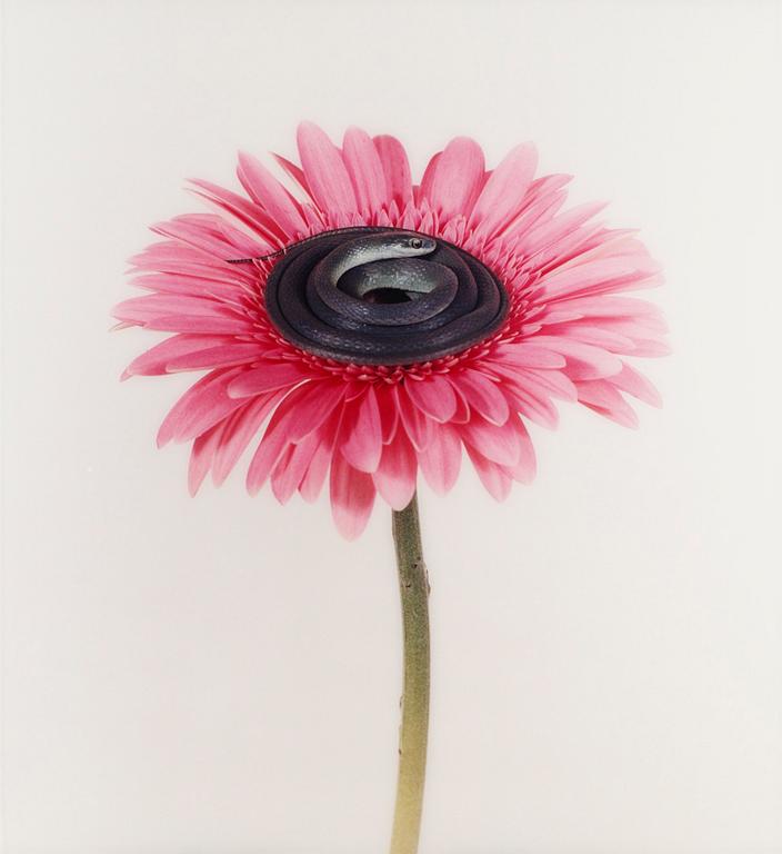 Nathalia Edenmont, ""Conception".