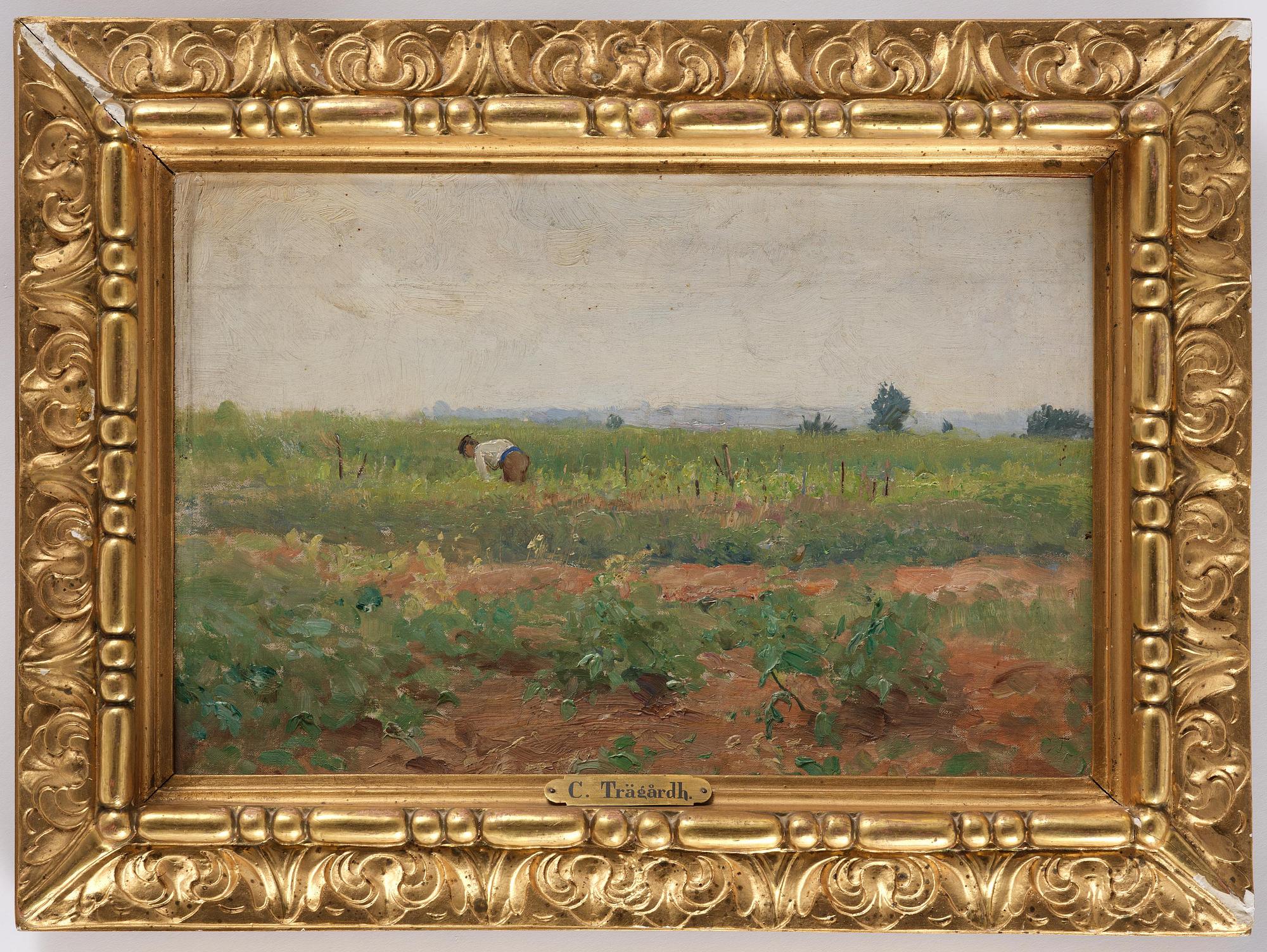 Carl Trägårdh, In the vegetable garden, Grèz.