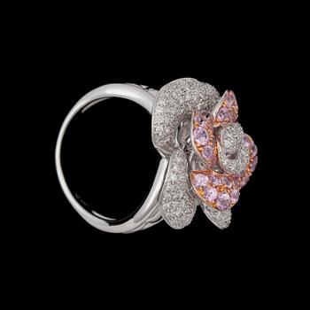 RING, med rosa safirer, samt 172 st diamanter.
