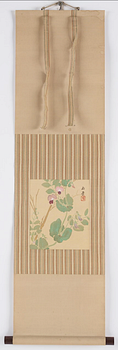 A Japanese kakiemono, anonymous artist, 20th Century. Signed  Gyokdo 玉堂. Sweet peas.