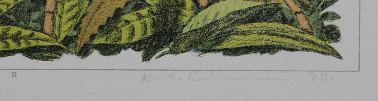 KARL AXEL PEHRSON, färglitografi, sign, dat 70 o numr 36/285.