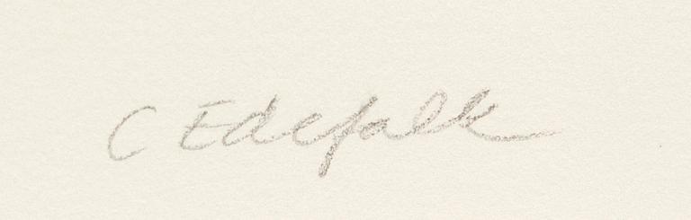 Cecilia Edefalk, "Speglingar".