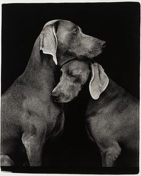 William Wegman, "Friends".