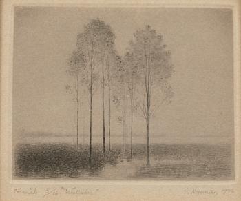 Gunnar Norrman, "Evening Haze", 1976.