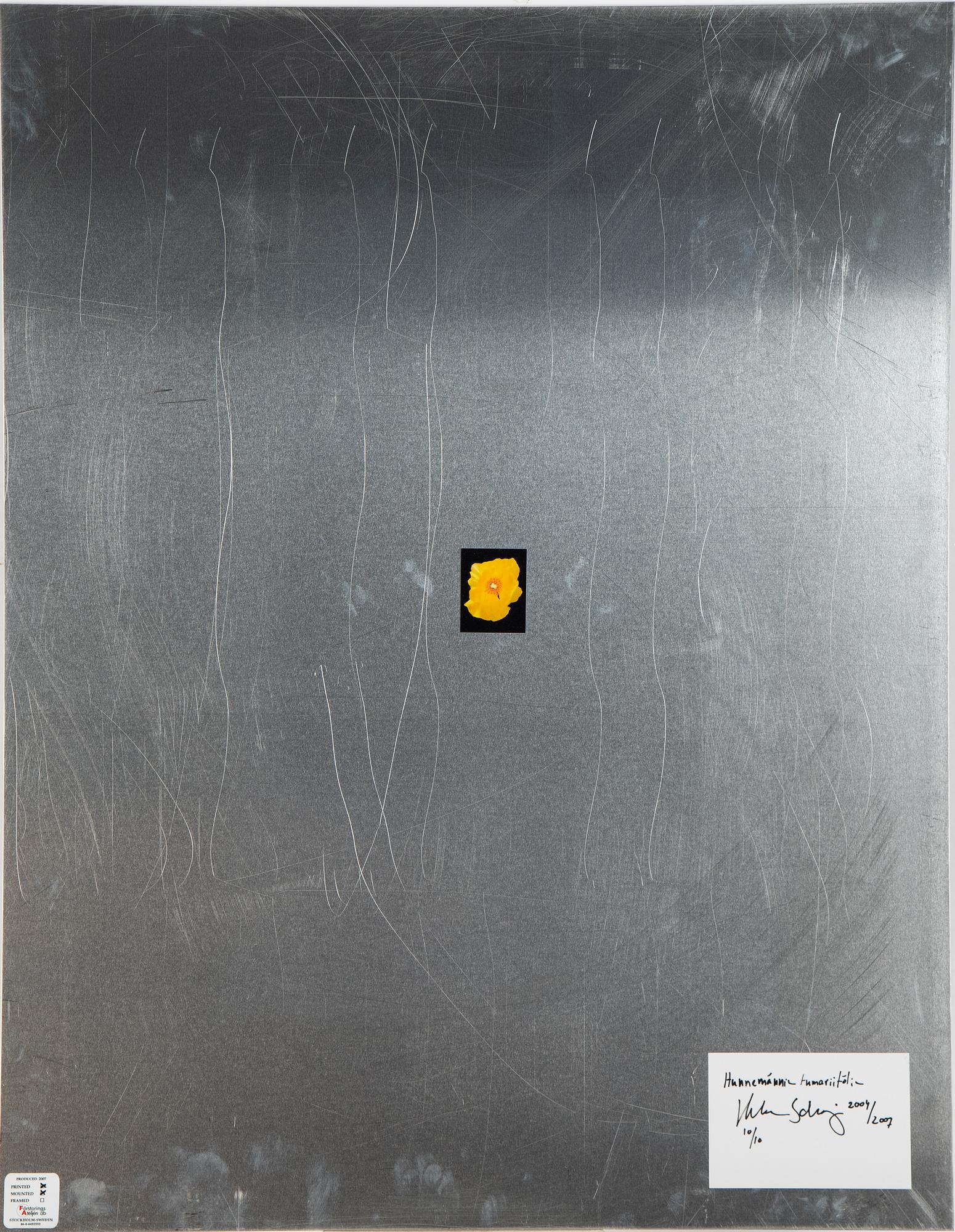 Helene Schmitz, "System och passion2, 4 c-print mounted on aluminum, 2004/2007, signed 10/10.