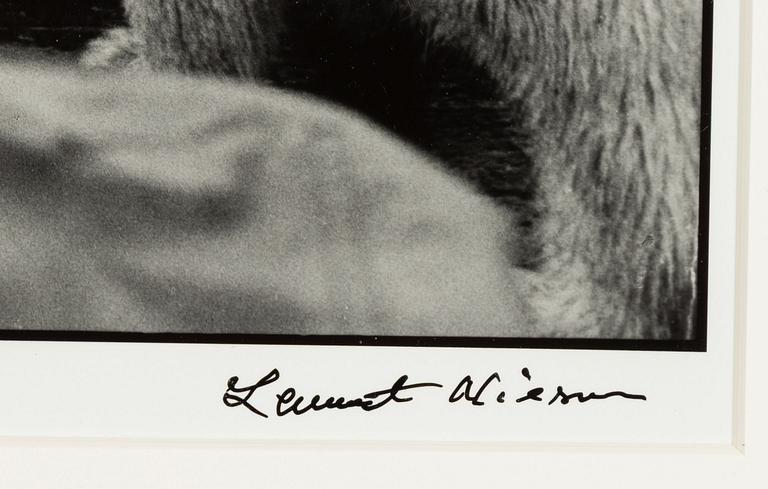 Lennart Nilsson,  "Isbjörnsjakt vid Hvitøya (Vitön), Svalbard, Norge 1947".