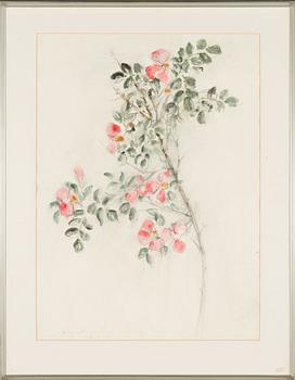 Aimo Kanerva, watercolour, signed and dated -81.