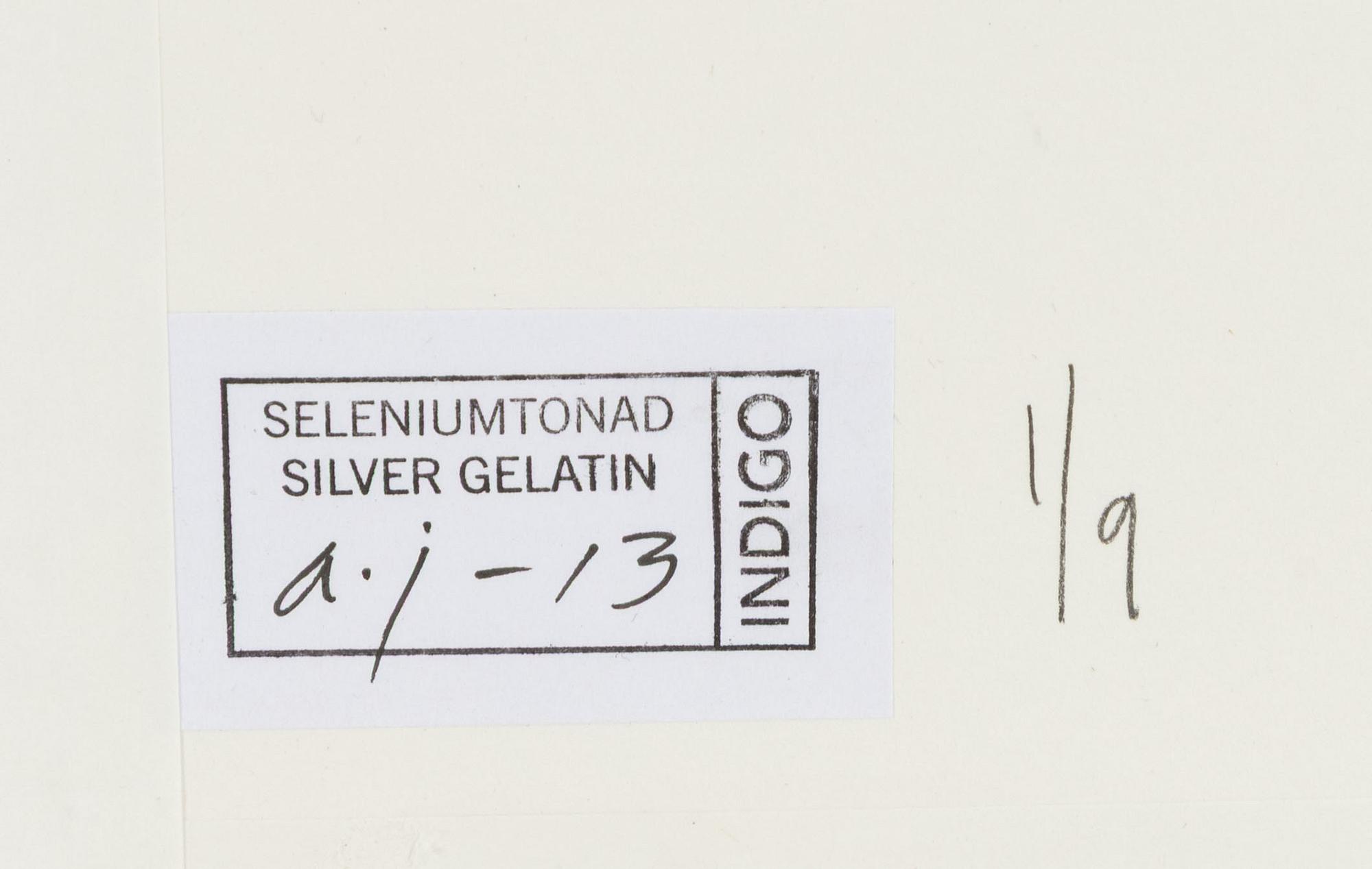 Lennart Nilsson,  "Isbjörnsjakt vid Hvitøya (Vitön), Svalbard, Norge 1947".