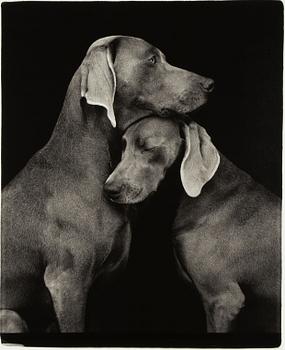 William Wegman, "Friends".