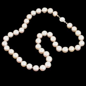 A collier of cultured pearls with a 18K white gold clasp.