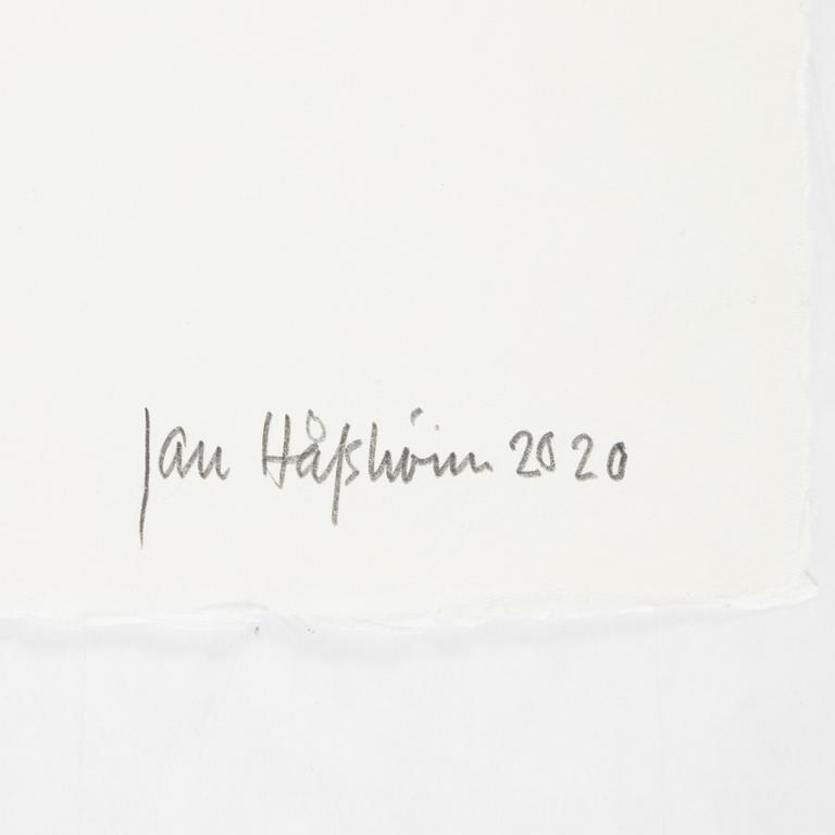 Jan Håfström, etching in colours, 2020, signed 45/50.