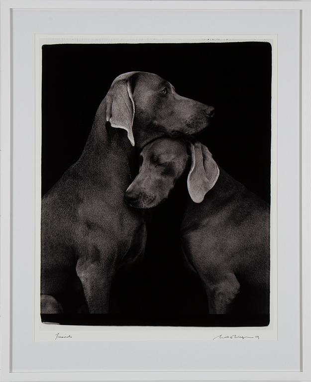 WILLIAM WEGMAN, a signed photograph, dated -09.