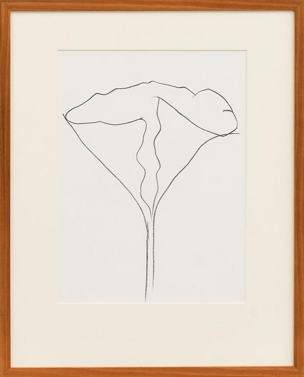 ELLSWORTH KELLY, serigraphe, from Derrière le Miroir no 250, 1982.