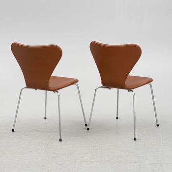 Arne Jacobsen, six "Series 7" chairs for Fritz Hansen, Denmark.