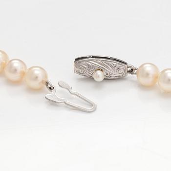 Helminauha, viljellyt helmet, metallilukko.