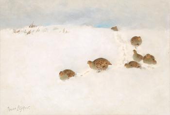 Bruno Liljefors, Partridges in snow.