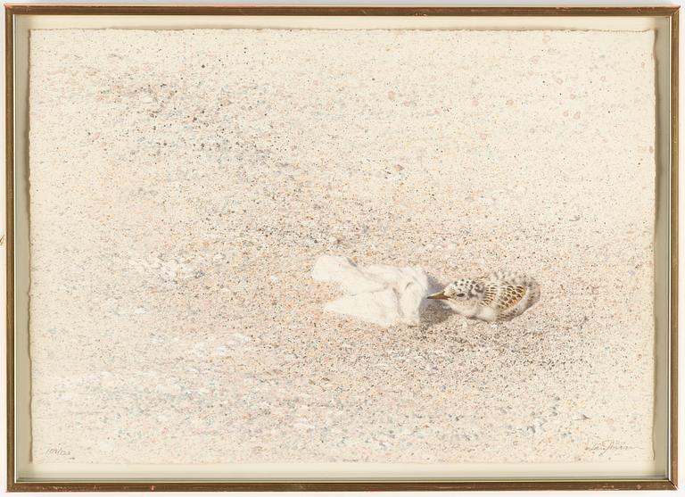 Lars Jonsson, lithograph in colours, signed 109/250.
