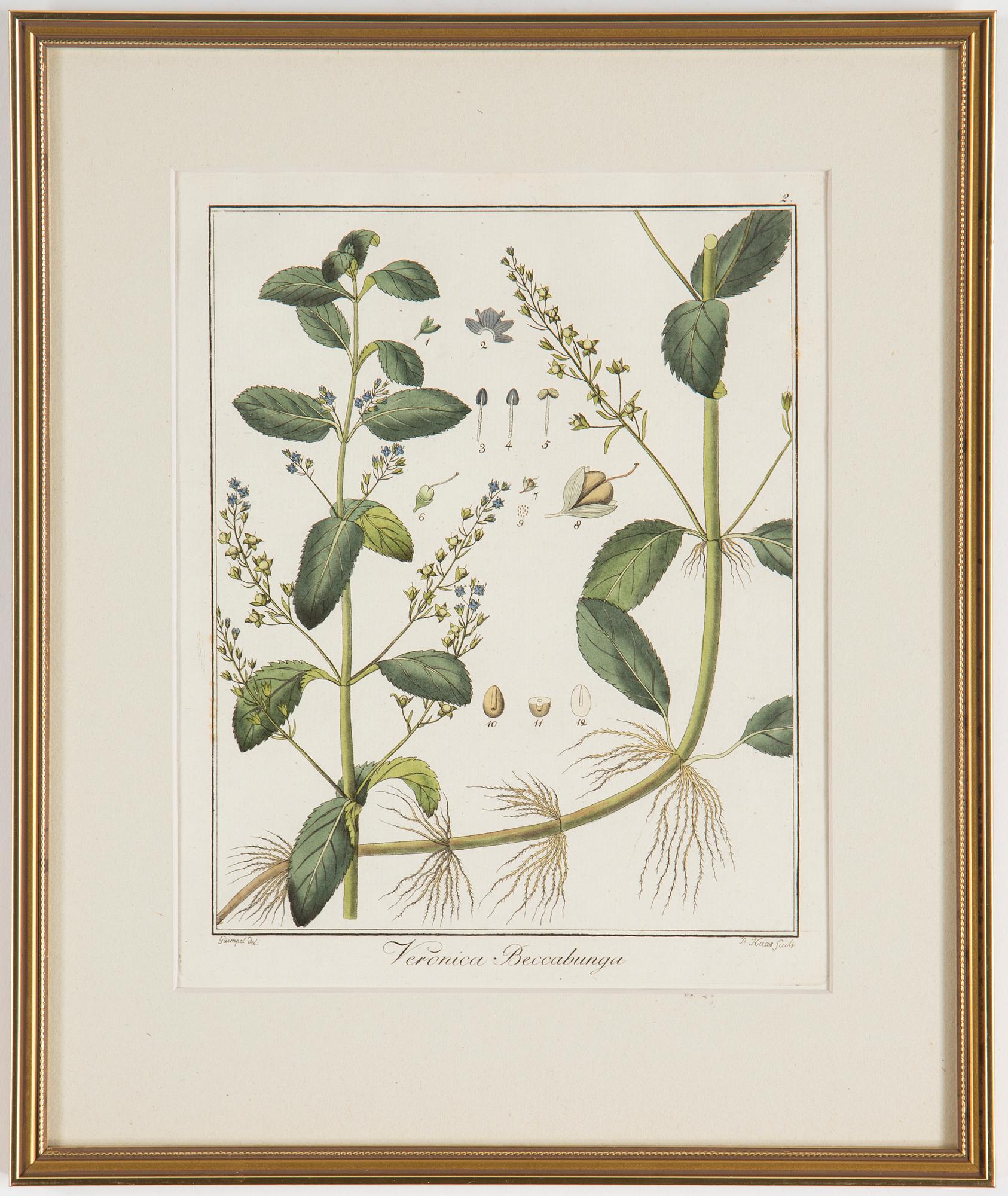 Four 18th century hand coloured engravings.