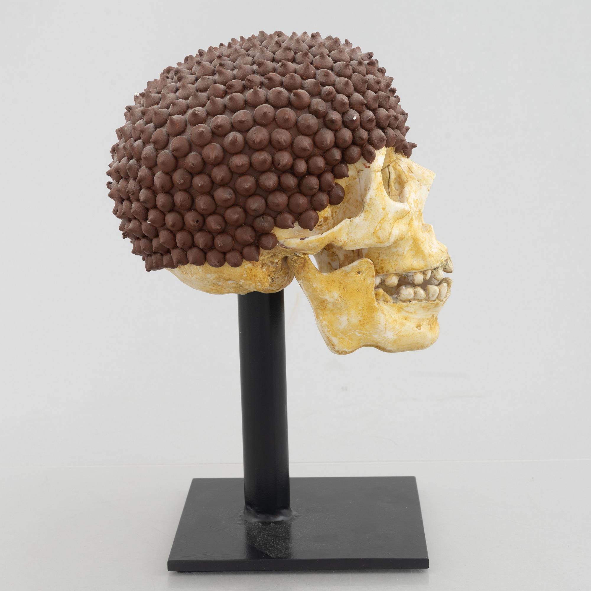 Rinaldo Frattolillo, "Damius Chocolatchipus".