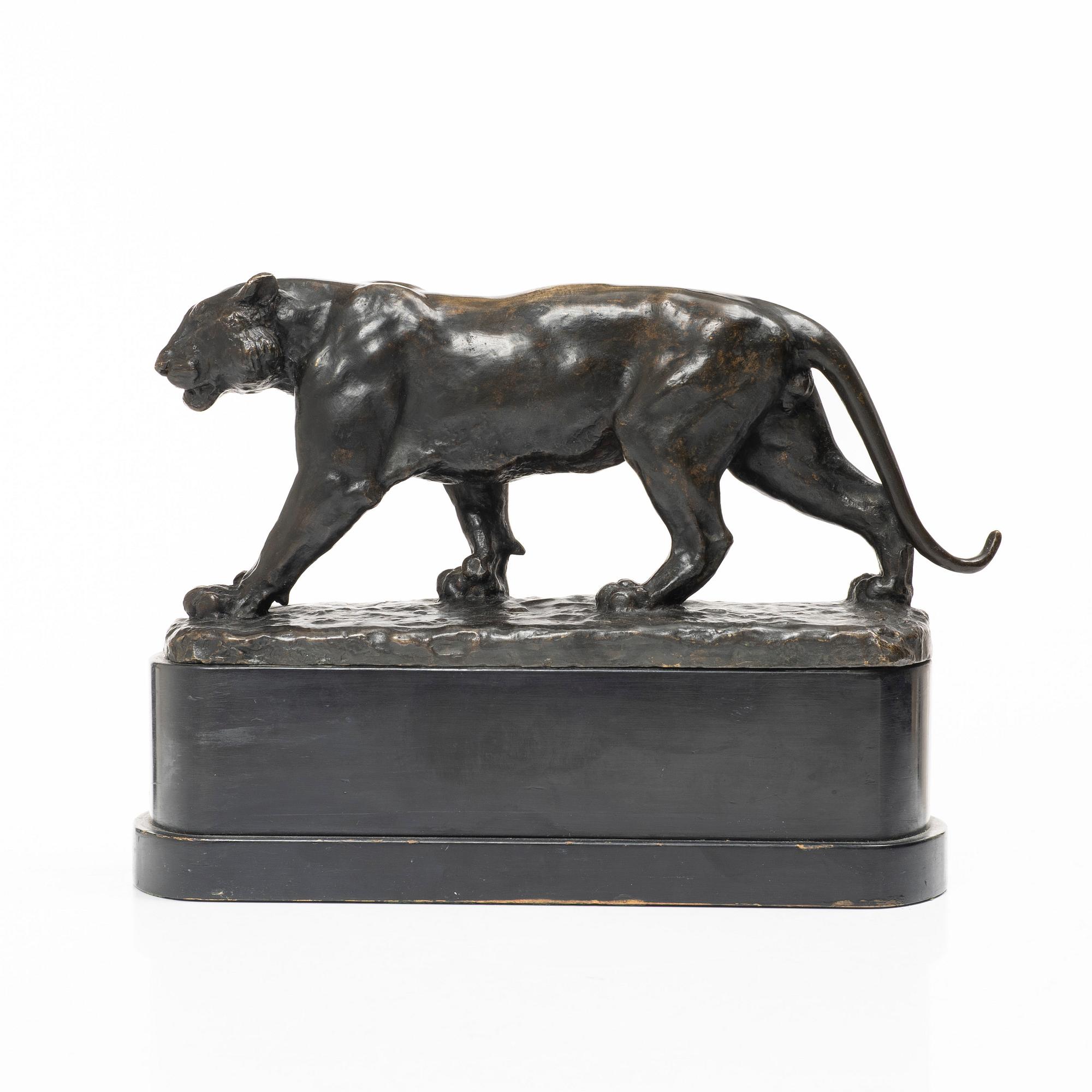 Johan Axel Wetterlund, Tiger.