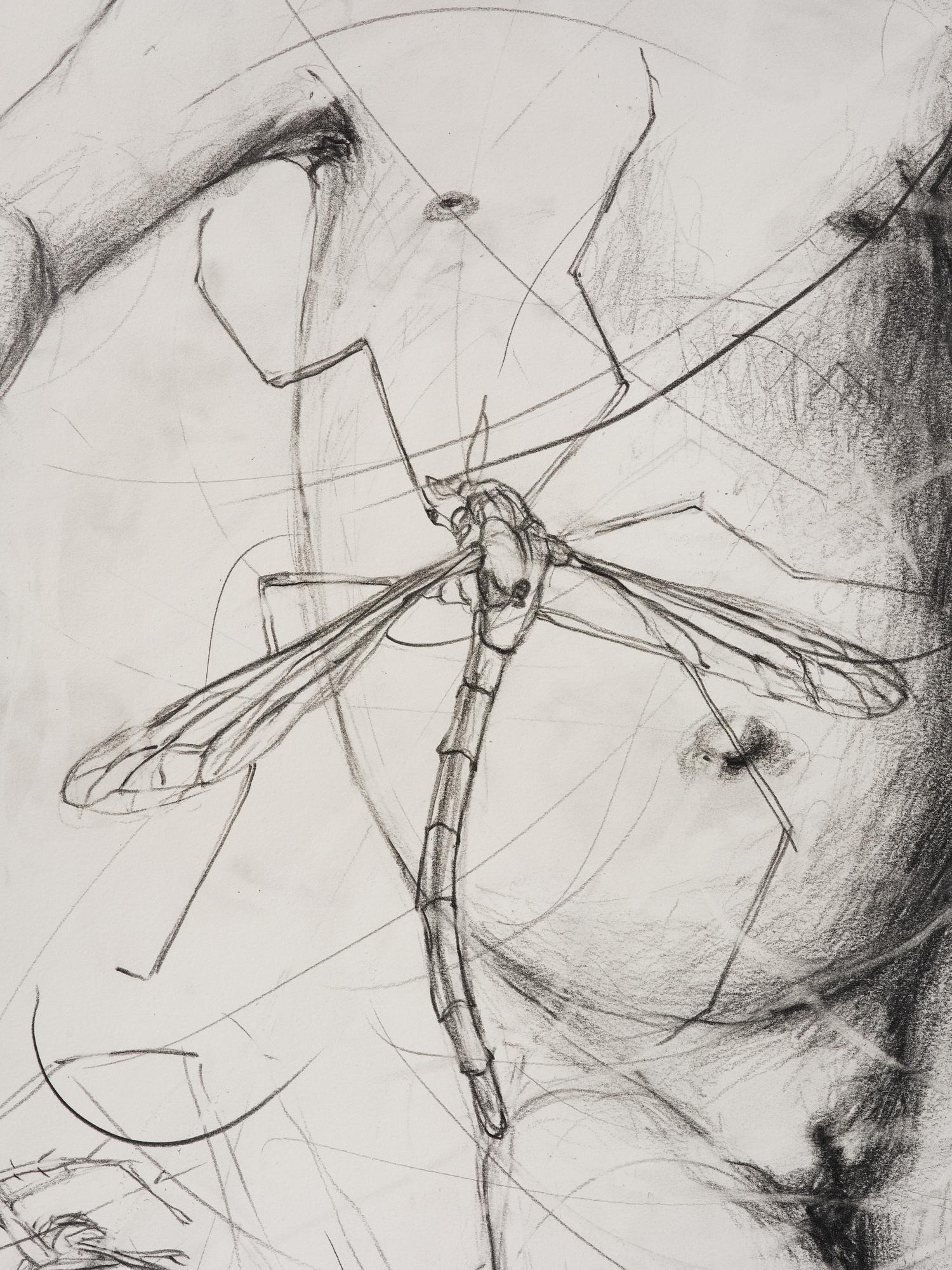 Linn Fernström, "Barn i nät".